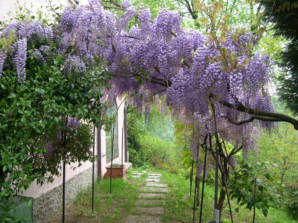 Follina B&B Four Winds المظهر الخارجي الصورة